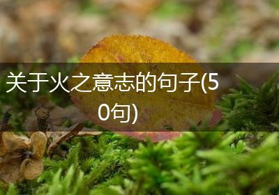 关于火之意志的句子(50句)