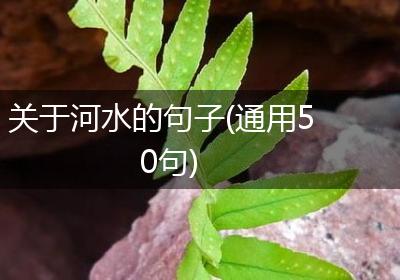 关于河水的句子(通用50句)