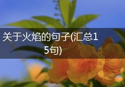 关于火焰的句子(汇总15句)
