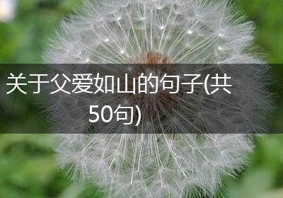 关于父爱如山的句子(共50句)