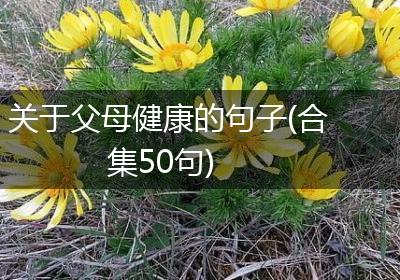 关于父母健康的句子(合集50句)