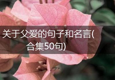 关于父爱的句子和名言(合集50句)