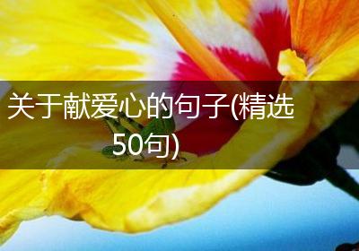 关于献爱心的句子(精选50句)