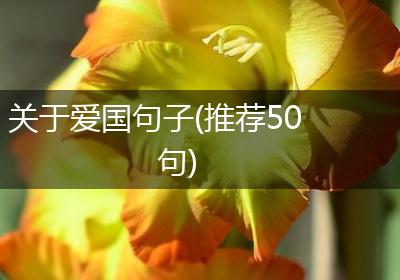 关于爱国句子(推荐50句)