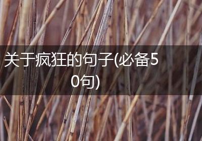 关于疯狂的句子(必备50句)