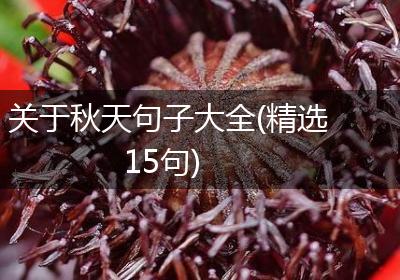 关于秋天句子大全(精选15句)