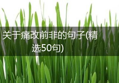 关于痛改前非的句子(精选50句)