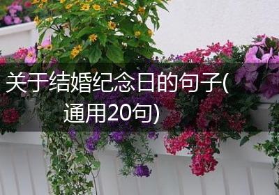 关于结婚纪念日的句子(通用20句)