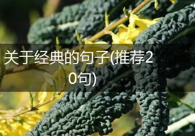 关于经典的句子(推荐20句)