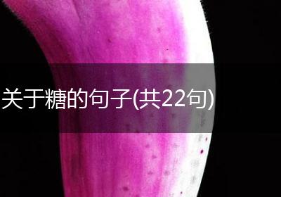 关于糖的句子(共22句)
