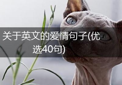 关于英文的爱情句子(优选40句)