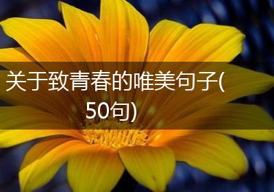 关于致青春的唯美句子(50句)
