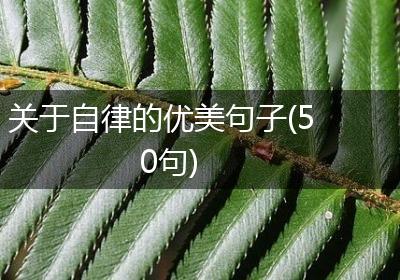 关于自律的优美句子(50句)