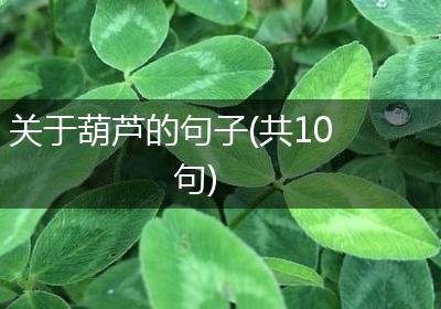 关于葫芦的句子(共10句)