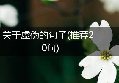 关于虚伪的句子(推荐20句)