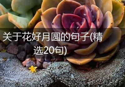 关于花好月圆的句子(精选20句)