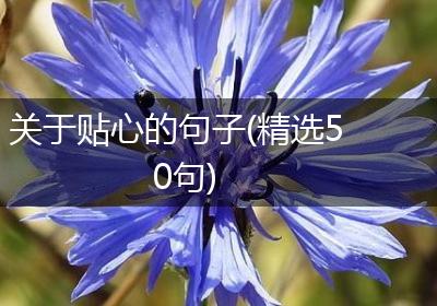 关于贴心的句子(精选50句)