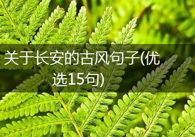 关于长安的古风句子(优选15句)