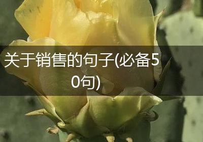 关于销售的句子(必备50句)
