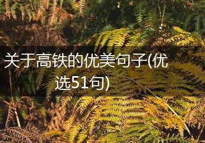 关于高铁的优美句子(优选51句)