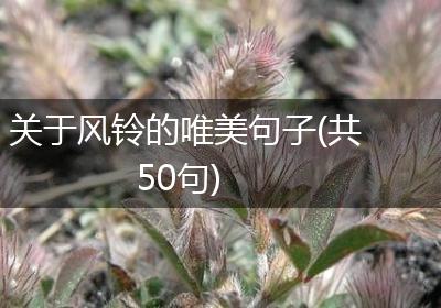 关于风铃的唯美句子(共50句)