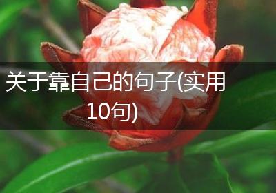 关于靠自己的句子(实用10句)