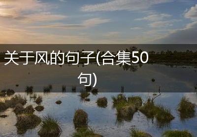关于风的句子(合集50句)