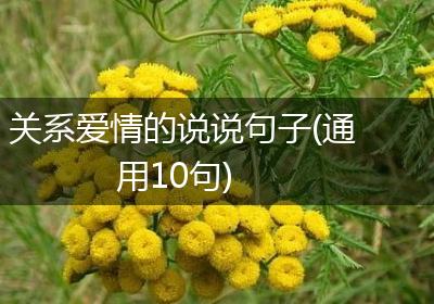 关系爱情的说说句子(通用10句)
