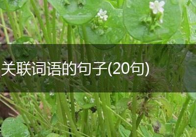 关联词语的句子(20句)
