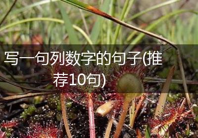 写一句列数字的句子(推荐10句)