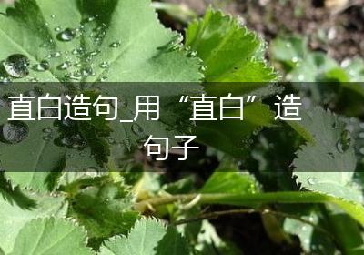 直白造句_用“直白”造句子
