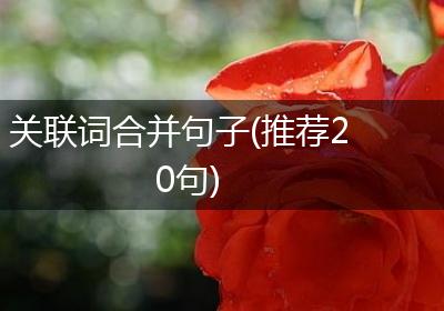 关联词合并句子(推荐20句)