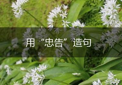 用“忠告”造句