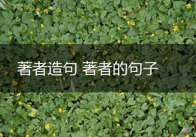 著者造句 著者的句子