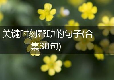 关键时刻帮助的句子(合集30句)