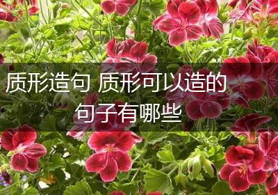 质形造句 质形可以造的句子有哪些