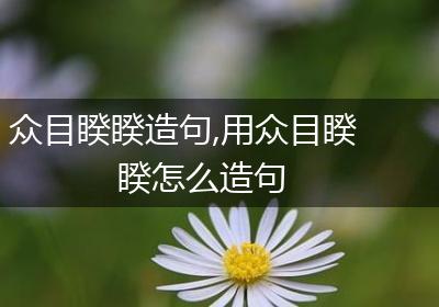 众目睽睽造句,用众目睽睽怎么造句