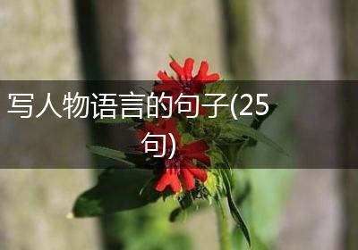 写人物语言的句子(25句)
