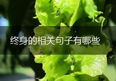 终身的相关句子有哪些