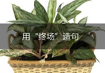 用“终场”造句