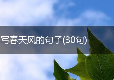 写春天风的句子(30句)