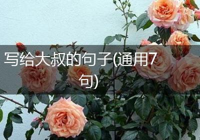 写给大叔的句子(通用7句)