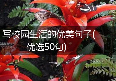 写校园生活的优美句子(优选50句)