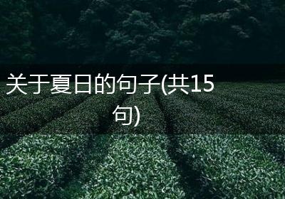 关于夏日的句子(共15句)