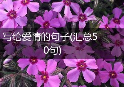 写给爱情的句子(汇总50句)