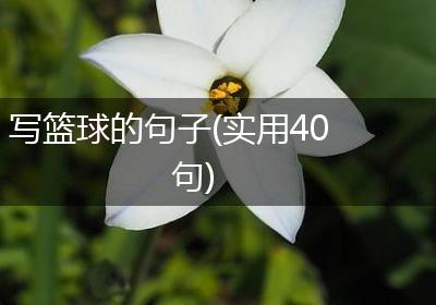 写篮球的句子(实用40句)