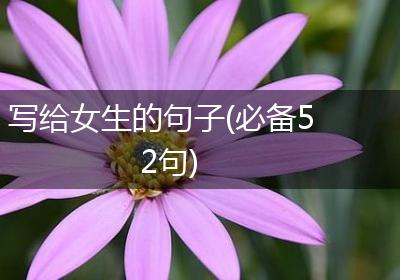 写给女生的句子(必备52句)