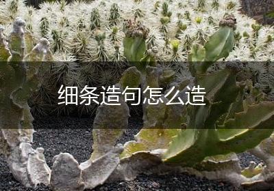 细条造句怎么造