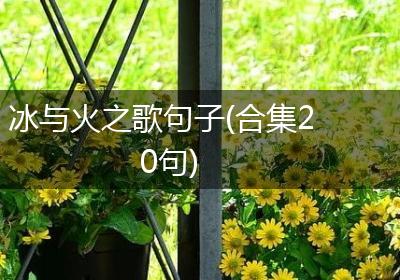 冰与火之歌句子(合集20句)