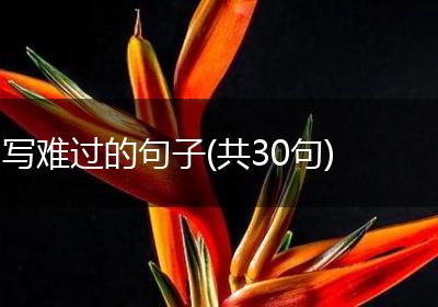 写难过的句子(共30句)